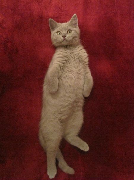 №187, Марина Малина №187, Марина Малина