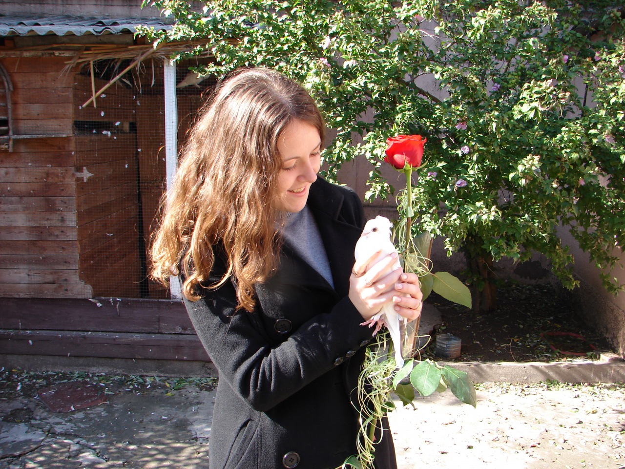 Фото профиля