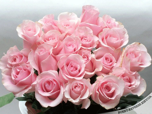 №14, Innesss Poplavskaya, 38 лет, Киев №14, Innesss Poplavskaya, 38 лет, Киев