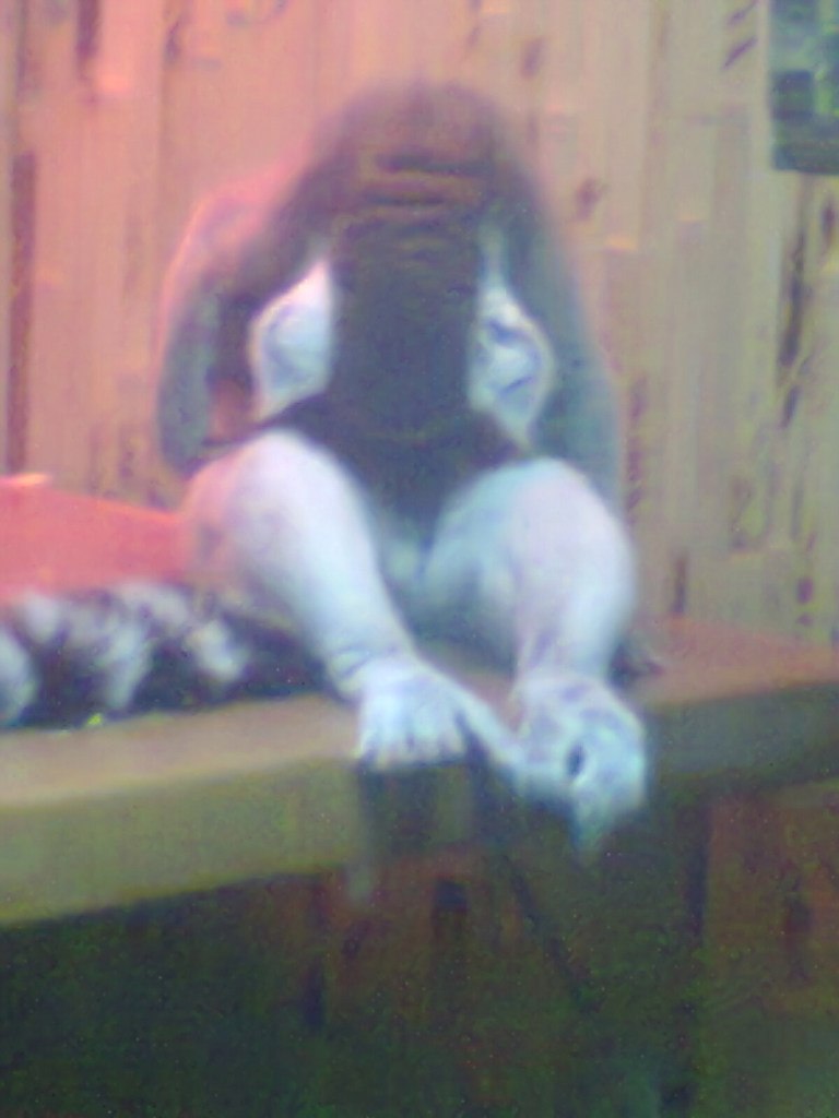 Анна Свищ ✿ܓBaRsY4kA✿ܓ | Харьков