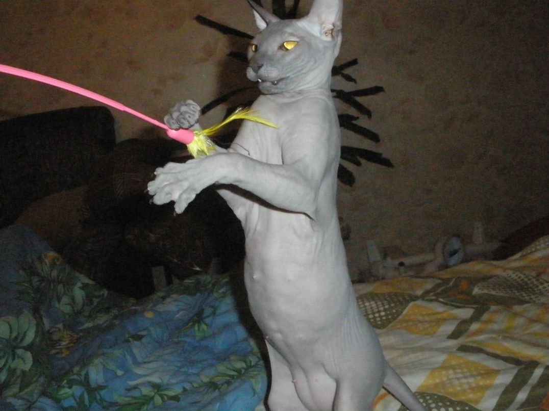 Екатерина Худякова (Татаурова) | Архангельск