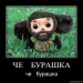 Денис Кадников фотография #14