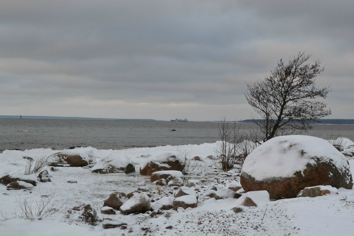 Вячеслав Корнер | Афонино