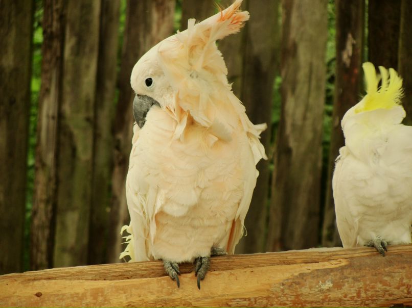 Наталья Миргород | Томск