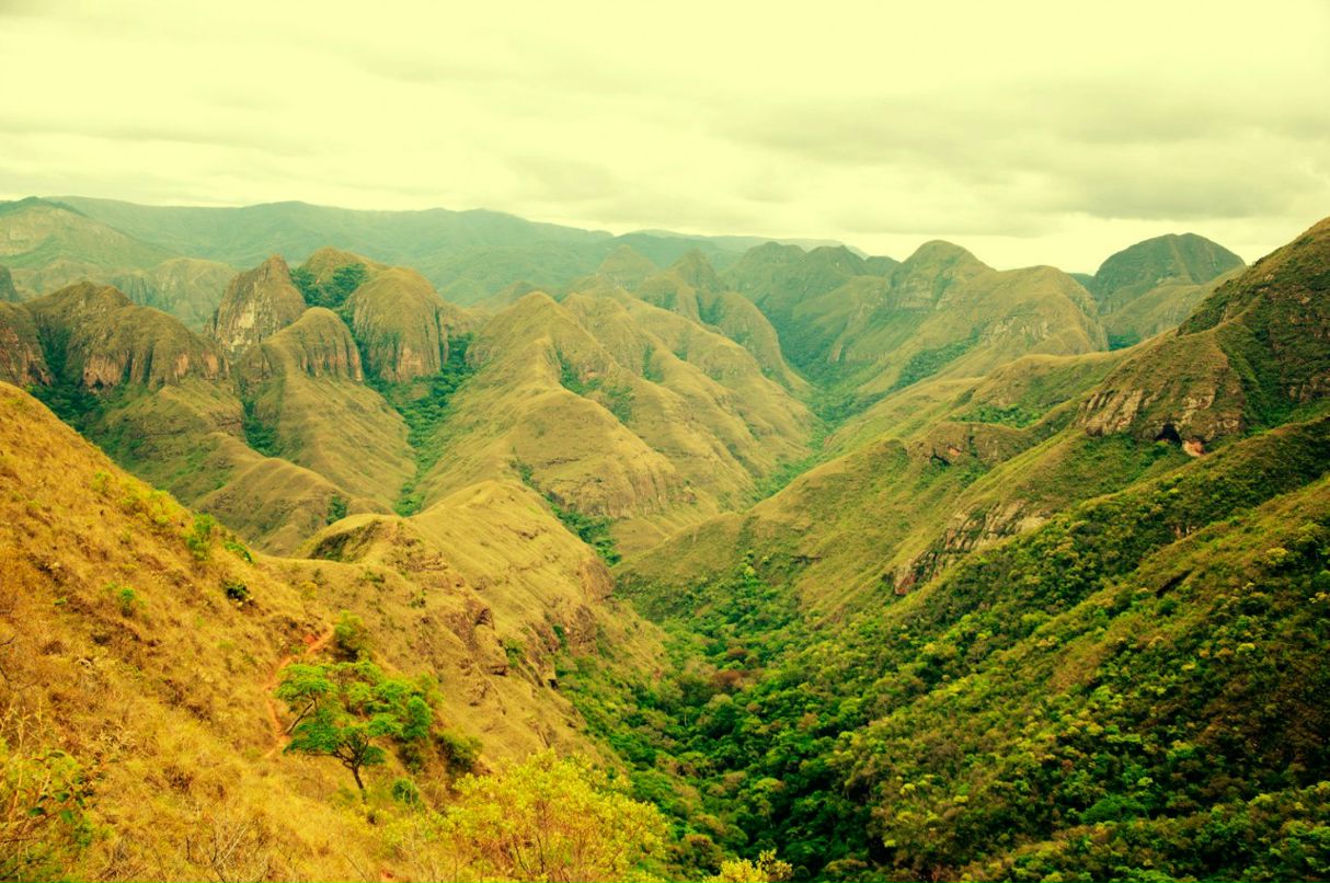 Алехандро Креспо-Каштанов eXWoLL | Харьков