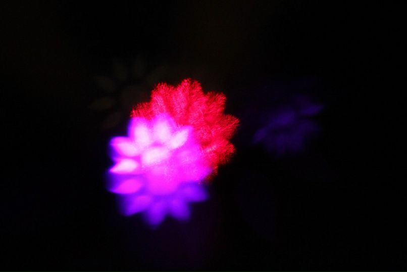 Наталия Красникова | Харьков