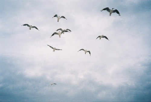 Кристи Харлей | Минск