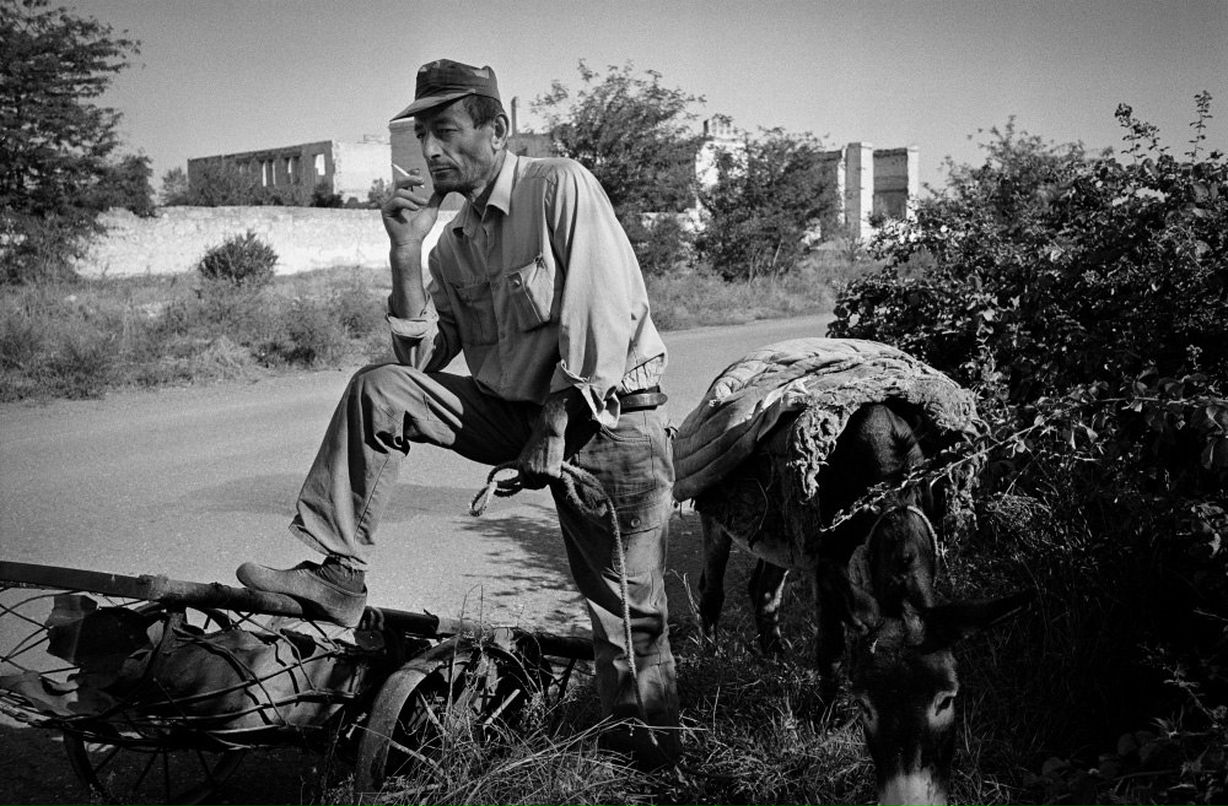 Тимур Гасанов Пес | 