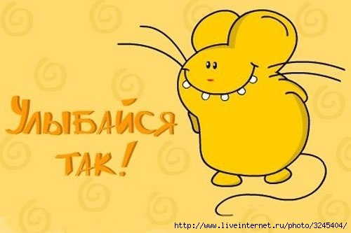 Владислав Толстых | Ростов-на-Дону