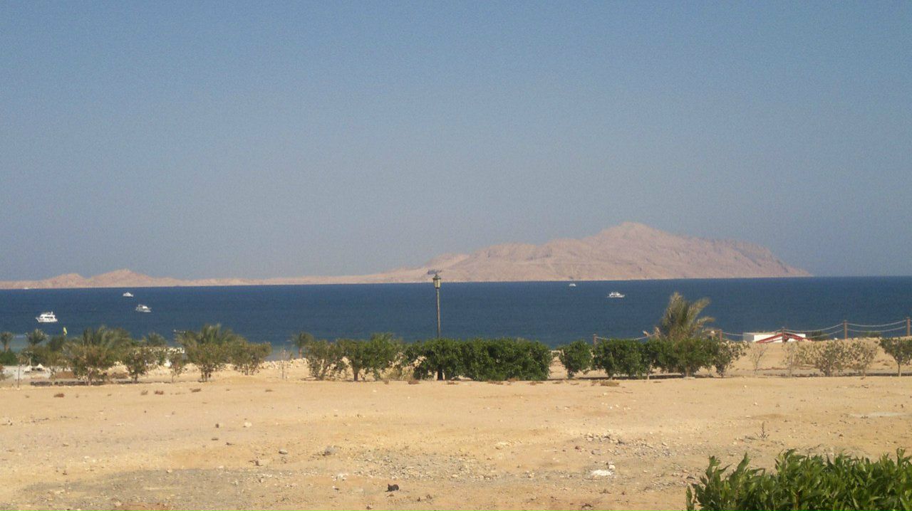 Максим Корниенко | Губкинский