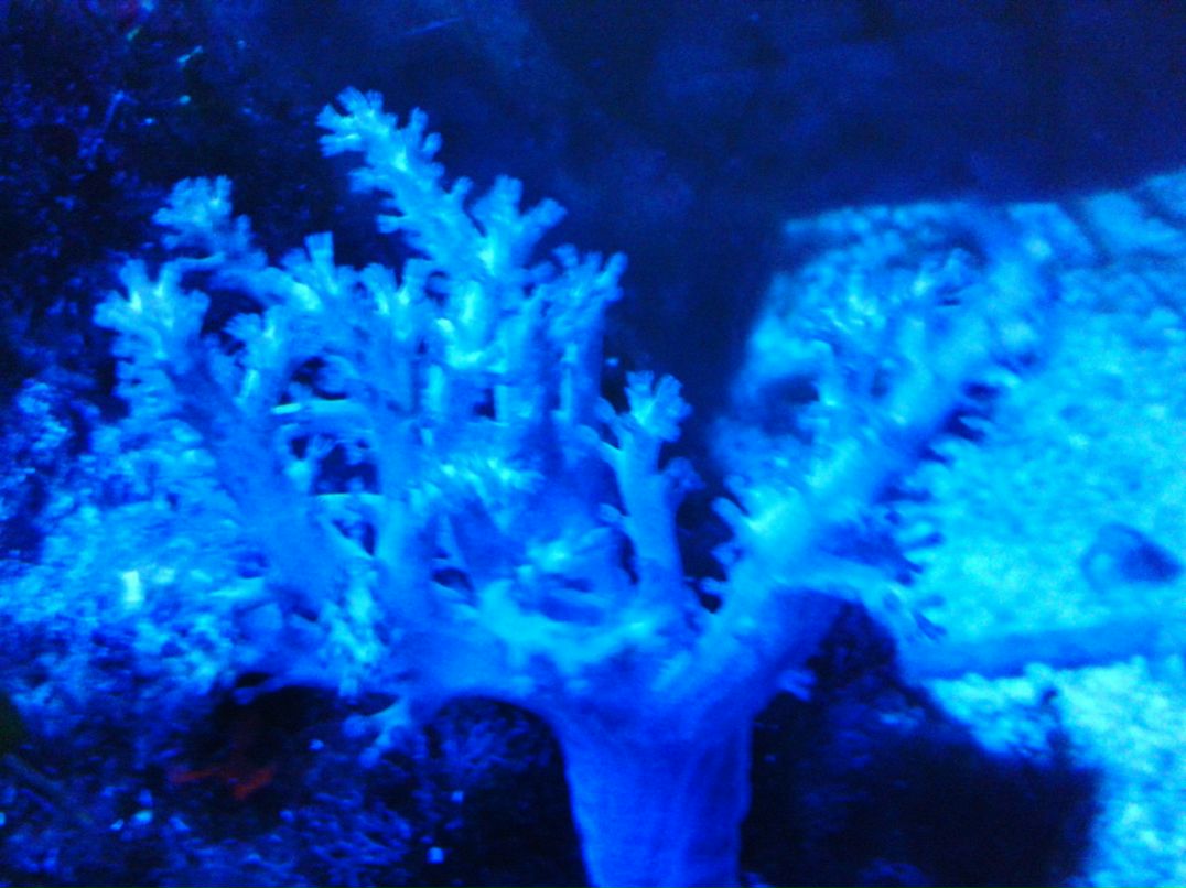 Сергей Зоря | Харьков