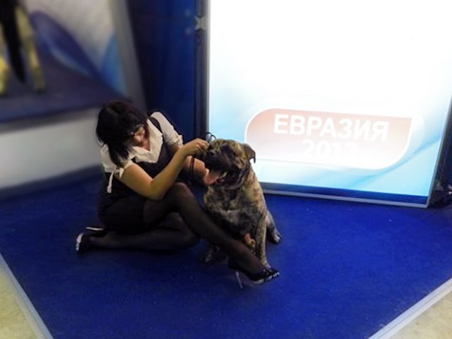 Татьяна Шишкина | Москва