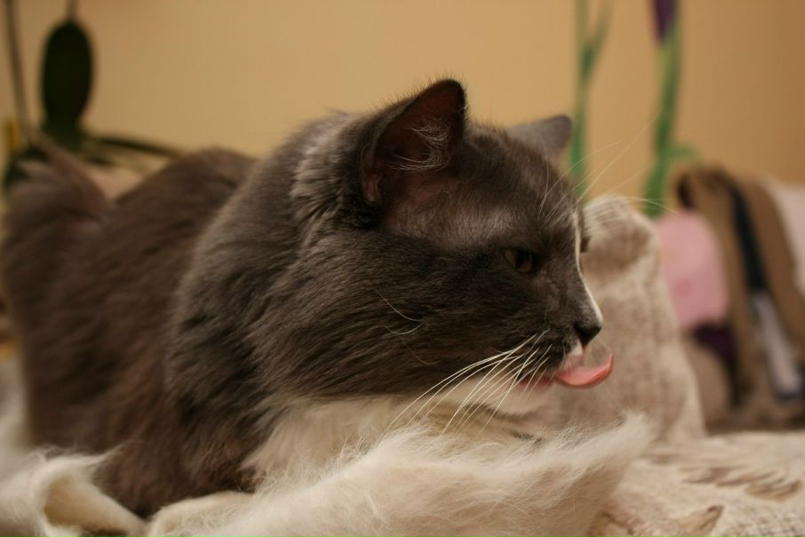 №27, Дарья Вострикова, Челябинск №27, Дарья Вострикова, Челябинск