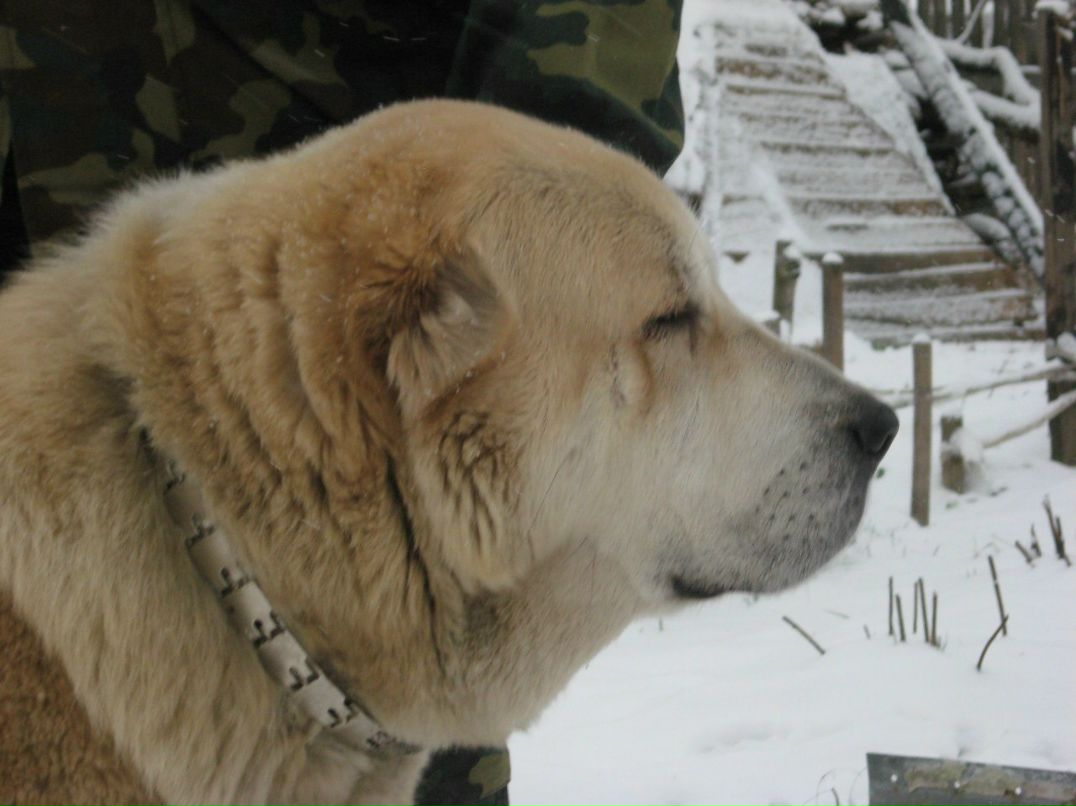 Ольга Иванова | Санкт-Петербург