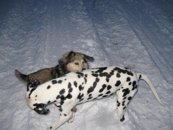 №13, Ольга Кузнецова, 69 лет, Москва №13, Ольга Кузнецова, 69 лет, Москва