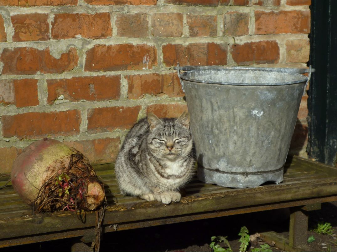 Таня Кириллова | Москва
