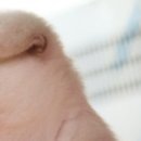 №23, Камилла Муратова, Казань №23, Камилла Муратова, Казань