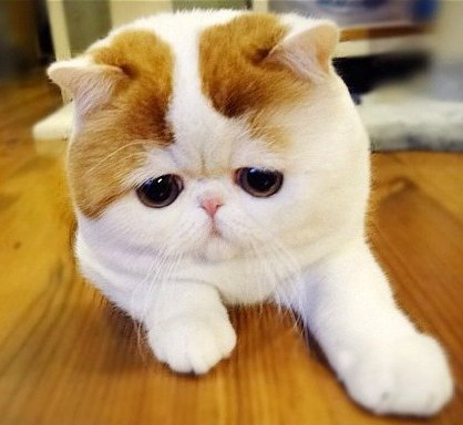 Настя Колосова | Москва