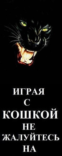 №137, Юля Чечель, 29 лет, Запорожье №137, Юля Чечель, 29 лет, Запорожье