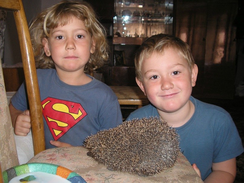 Olena Savchak | Madrid