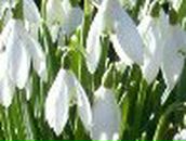 Лена Мащенко | Краматорск