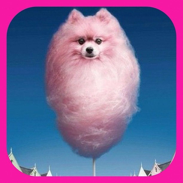 Надинка Бондаренко | Днепр (Днепропетровск)