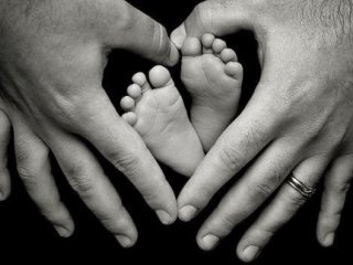 №29, Serhey Mohnev, Липины №29, Serhey Mohnev, Липины