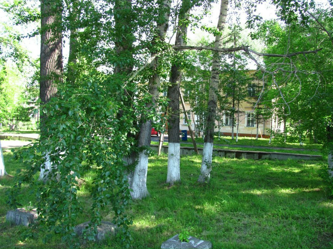 Mihail Nefedov | Новосибирск