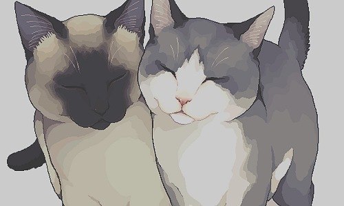 Anastasiyo Tokarenko ♥ | Киев