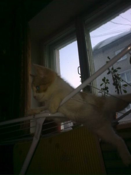 №95, Наталья Яниос, 47 лет, Пермь №95, Наталья Яниос, 47 лет, Пермь