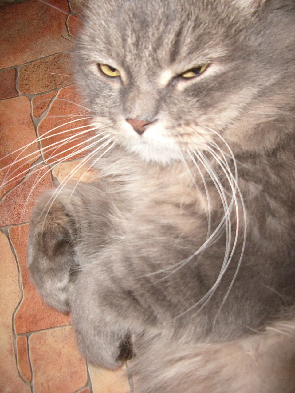 Лиза Антуфьева | Владимир