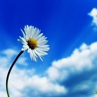 Татьяна Даирова | Петропавловск