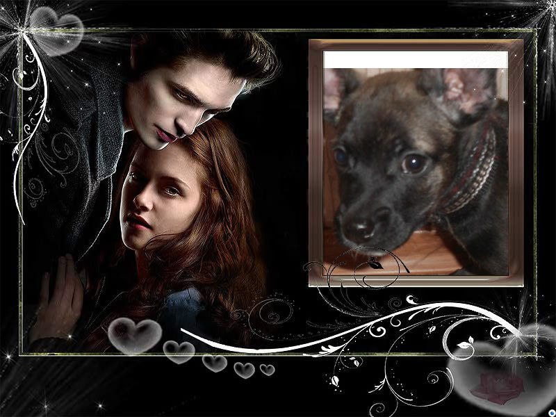 Егор Козлов | Калтан