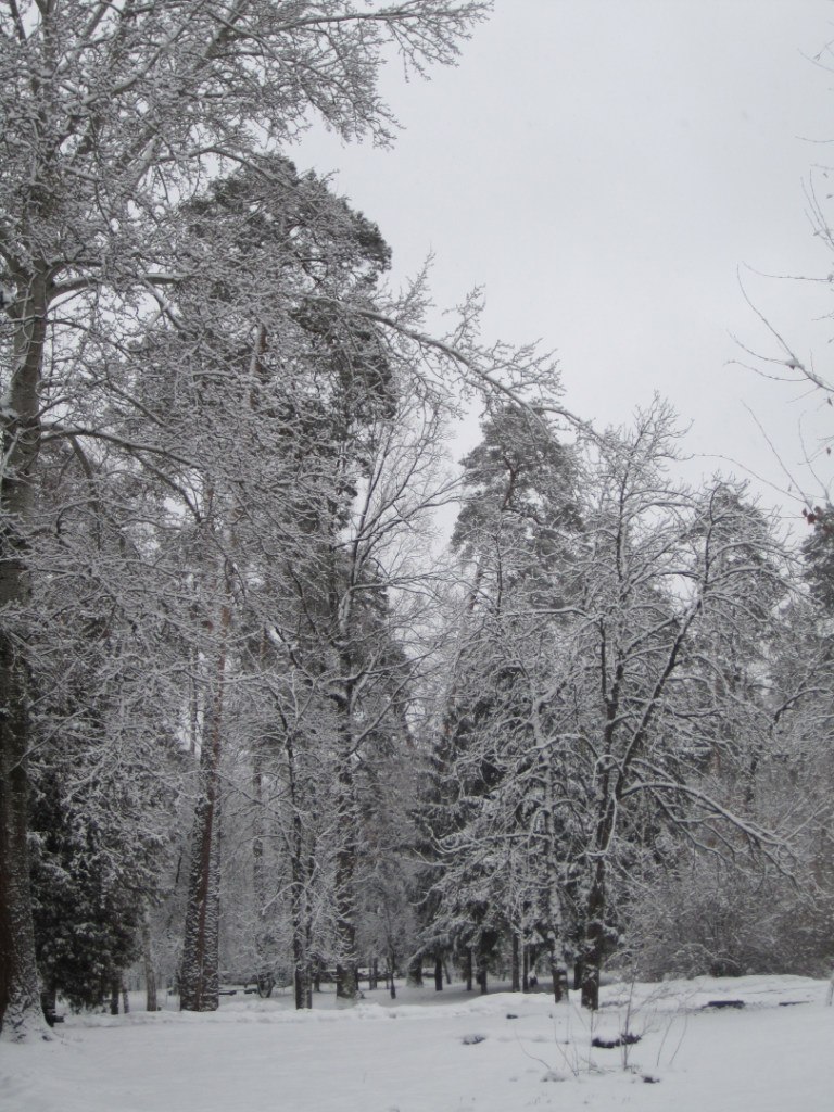 Ольга Белоног | Горловка