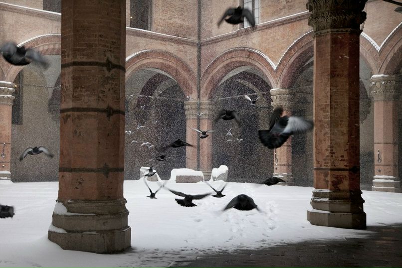 Анна Коркина | Санкт-Петербург