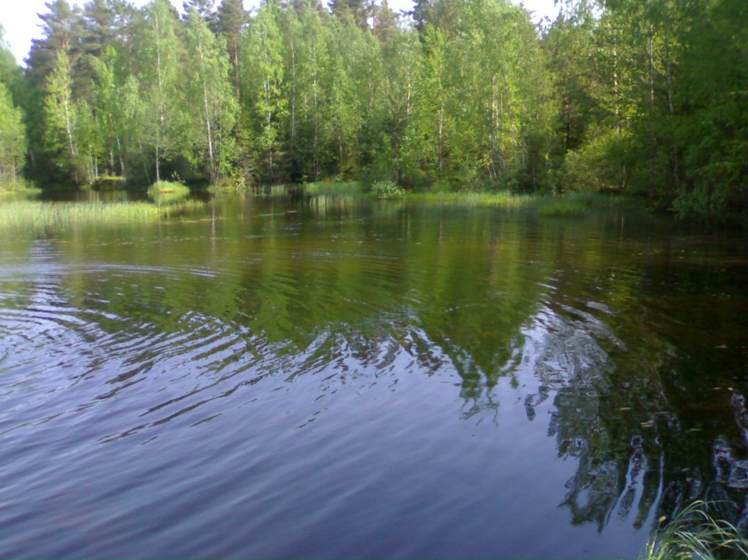 Вадим Винник | Москва