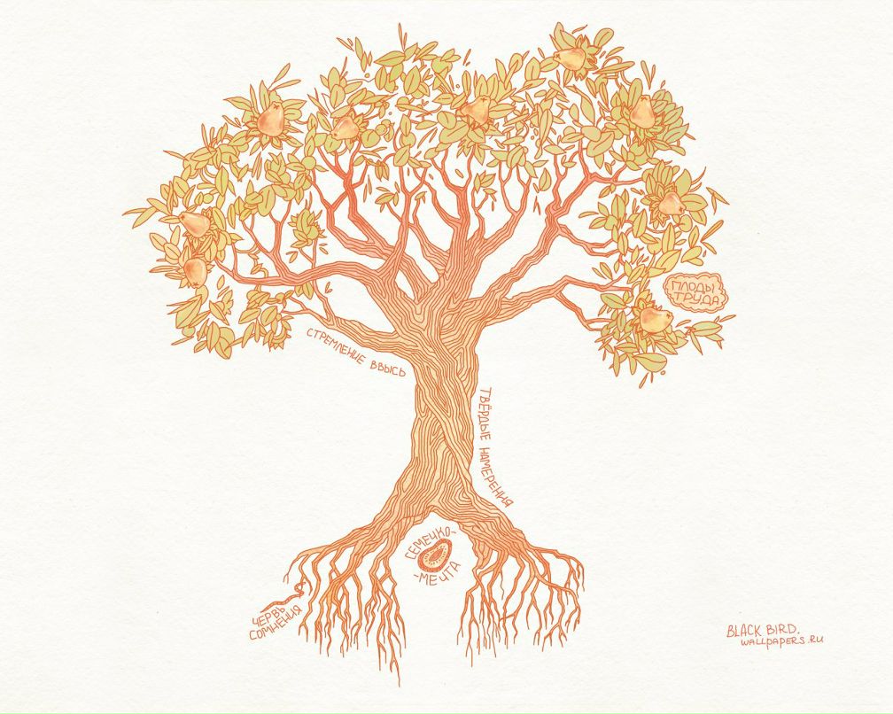 Алексей Евсеенков | Санкт-Петербург