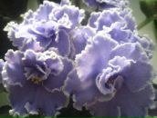 №10 Алена Переверзева 03.10: профиль, фото, статус - ВКонтакте №10 Алена Переверзева 03.10: профиль, фото, статус - ВКонтакте