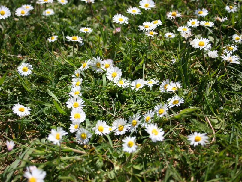 Алексей Кучеренко | Севастополь