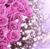 №13 Сафина Фатима : профиль, фото, статус - ВКонтакте