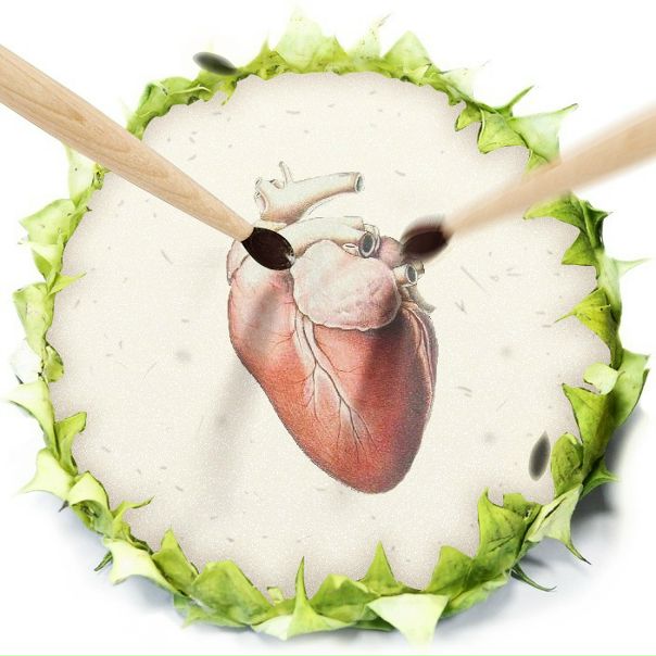 №115, Василий Сергеев, Зеленоград №115, Василий Сергеев, Зеленоград