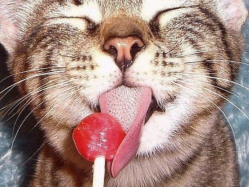 Юлия Козлова | Тверь