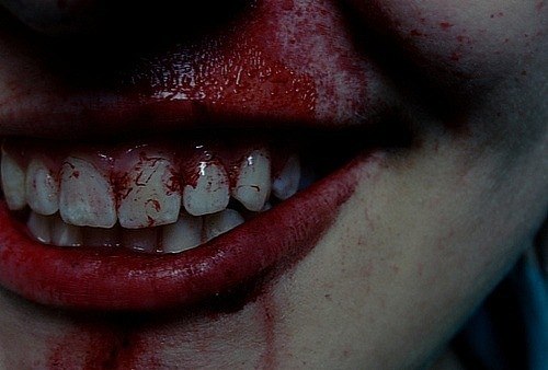 Антон Моховиков | Санкт-Петербург