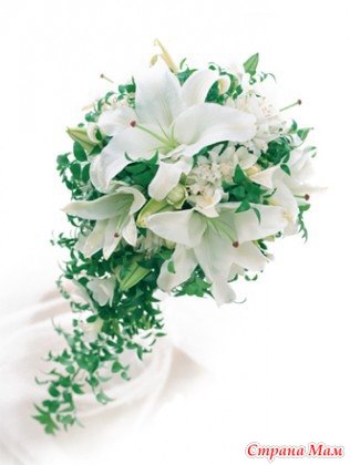 Ксения Коваль | Тольятти