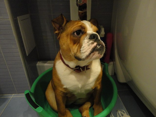 Павел Юркин | Ангарск