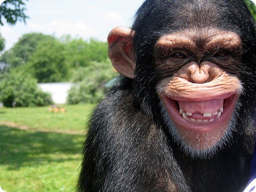 Михаил Безруких | Красноярск