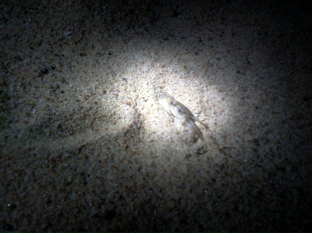 Иван Климарёв | Екатеринбург