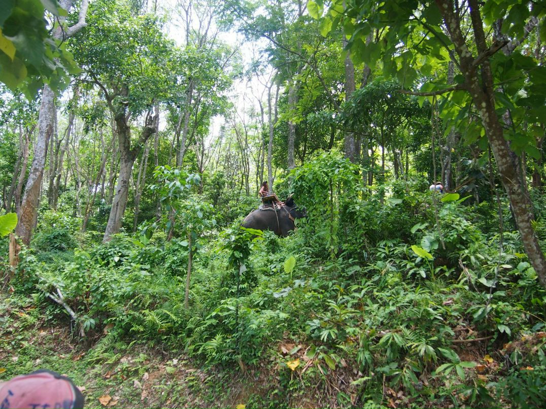 Александра Захарова | Санкт-Петербург