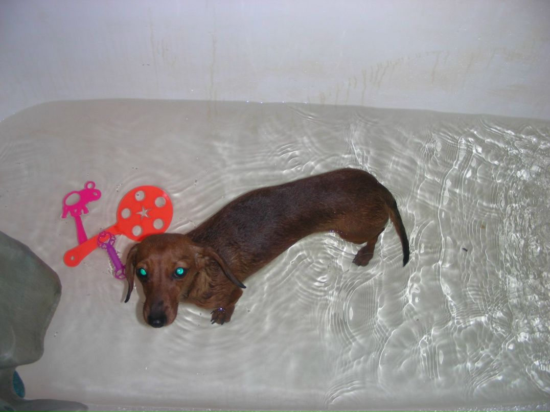 Даниэль Погореловский | Санкт-Петербург