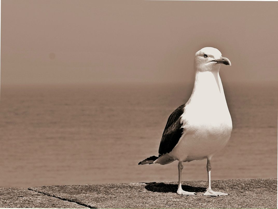 Анастасия Марагина | Челябинск